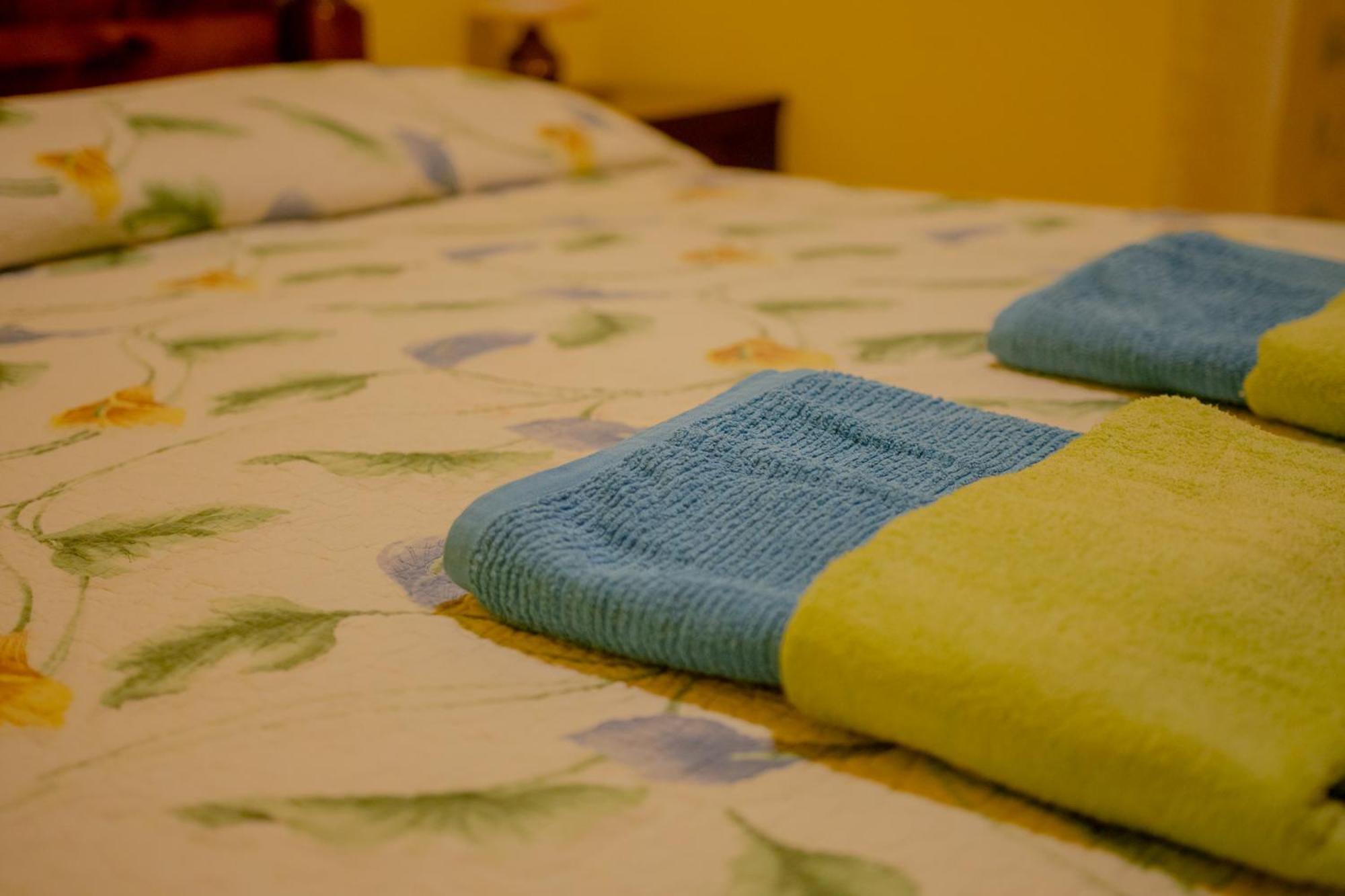 Apartments Angelica 2 Novigrad Istria 외부 사진